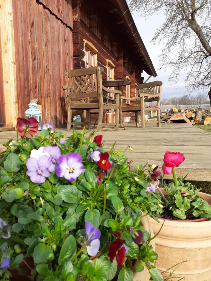 布尔格Liljas Haus Im Spreewald公寓 外观 照片