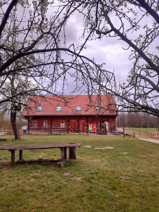 布尔格Liljas Haus Im Spreewald公寓 外观 照片