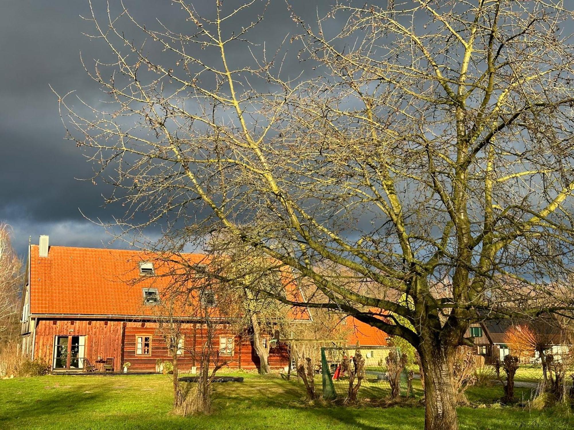 布尔格Liljas Haus Im Spreewald公寓 外观 照片