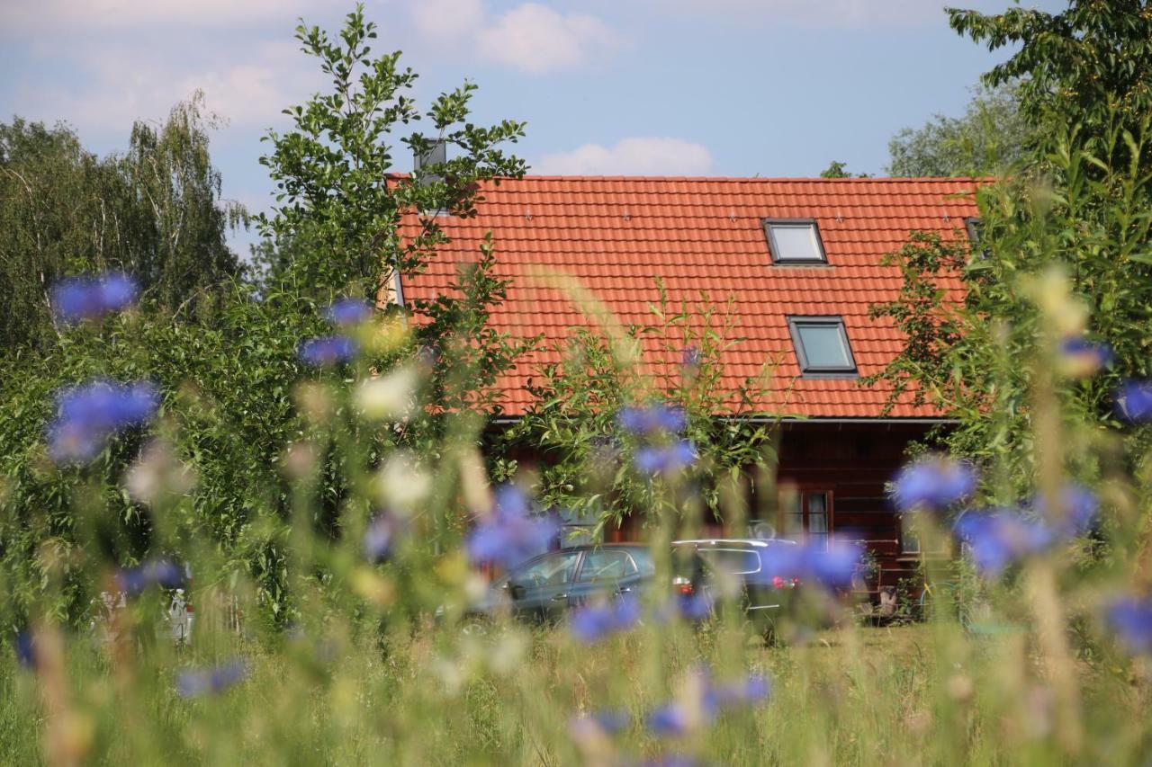 布尔格Liljas Haus Im Spreewald公寓 外观 照片